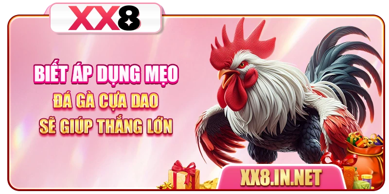 Biết áp dụng mẹo đá gà cựa dao sẽ giúp thắng lớn