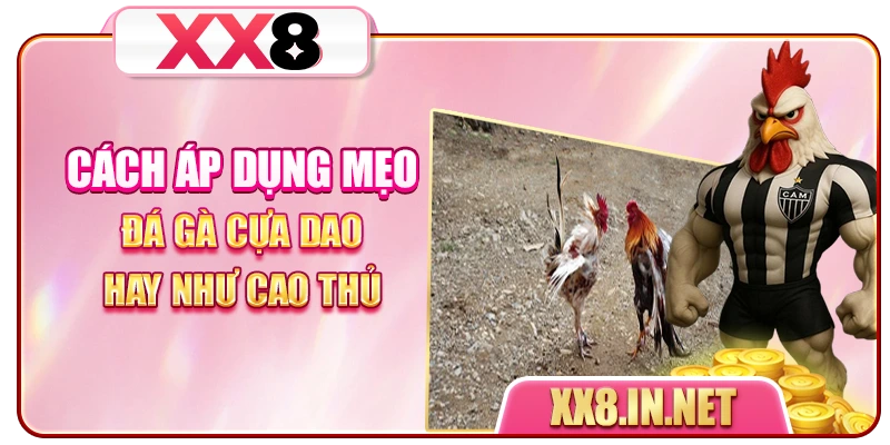 Cách áp dụng mẹo đá gà cựa dao hay như cao thủ