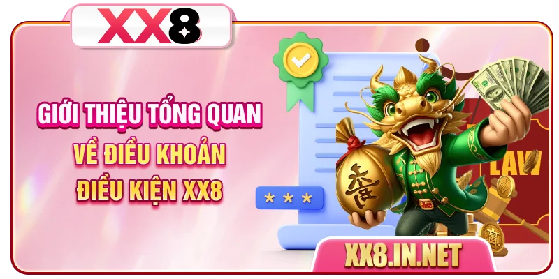 Giới thiệu tổng quan về điều khoản điều kiện XX8