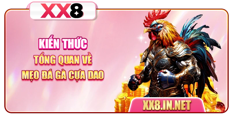 Kiến thức tổng quan về mẹo đá gà cựa dao