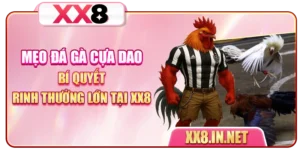 Mẹo Đá Gà Cựa Dao: Bí Quyết Rinh Thưởng Lớn Tại XX8