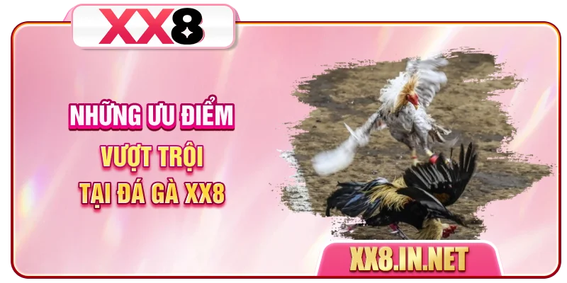 Những ưu điểm vượt trội tại đá gà XX8